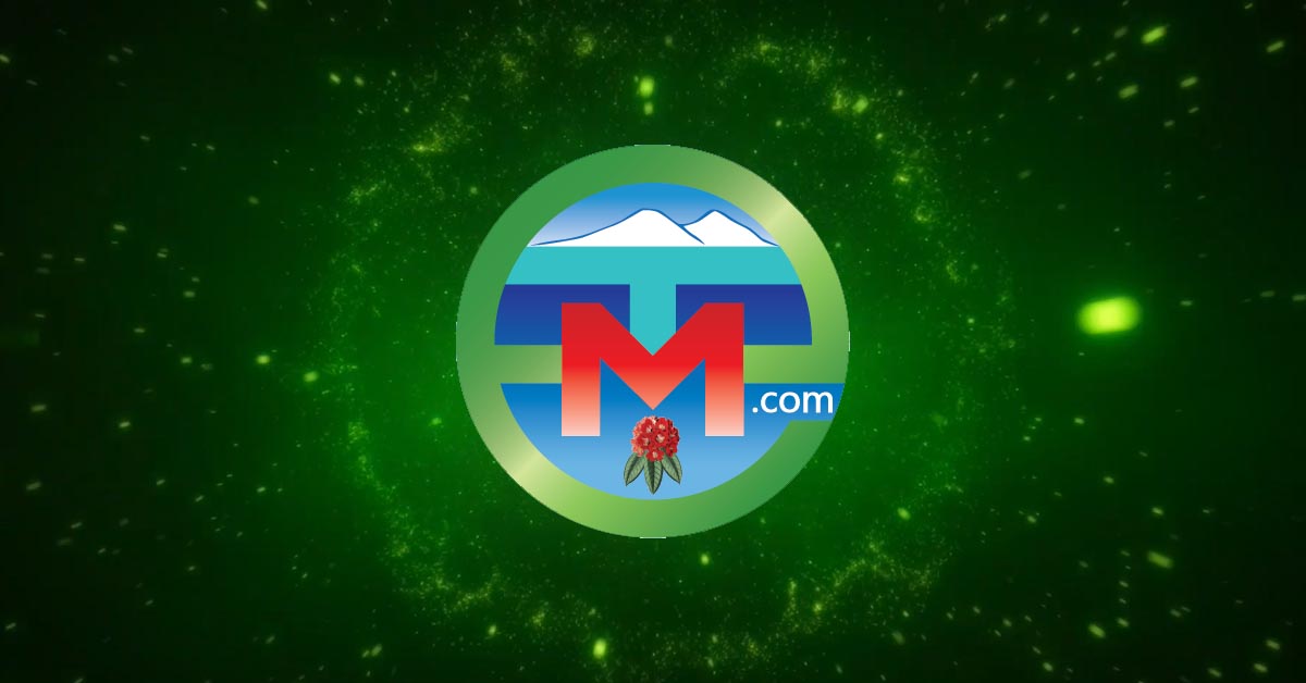 Logo Intro design of Milketimes.com